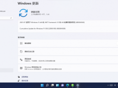 Win11 22000.100ô