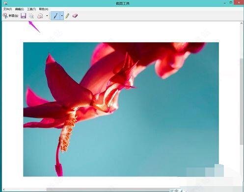΢ Win11ҵ 64λ V2021