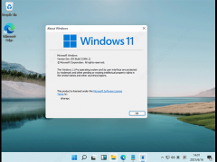 ΢ Win11ʽ 64λ V2021.08
