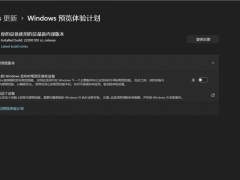 Win11Ԥƻ޷ѡ