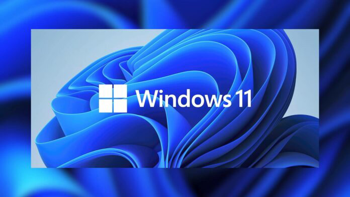 Win11ȫĲֹܴ򲻿ô