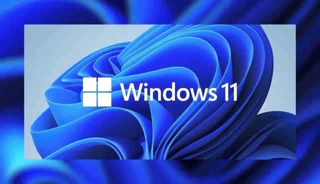 Win11רҵ_Win11İ V22000.132