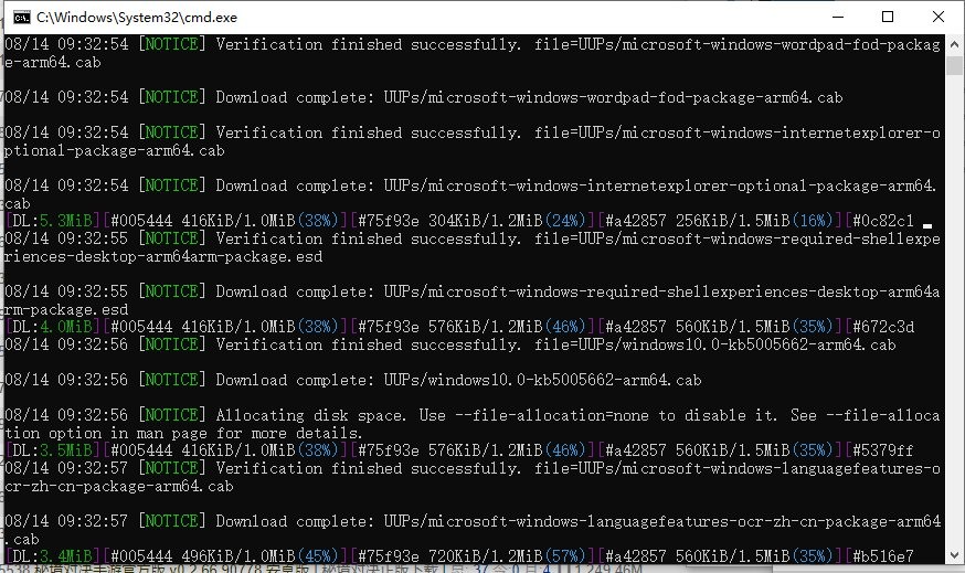 Win11רҵ_Win11 V22000.132 ⼤