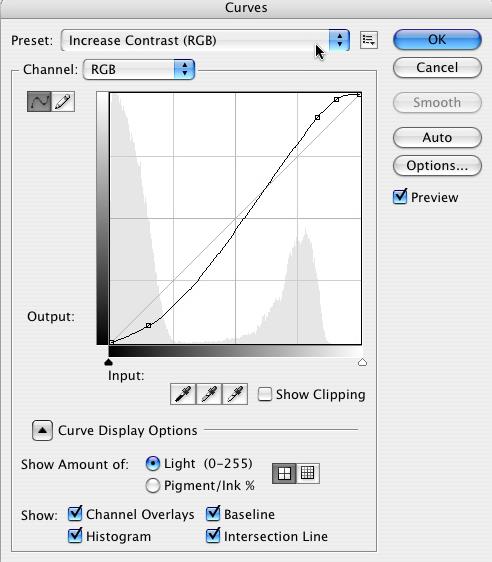 Adobe Photoshop CS3ƽ