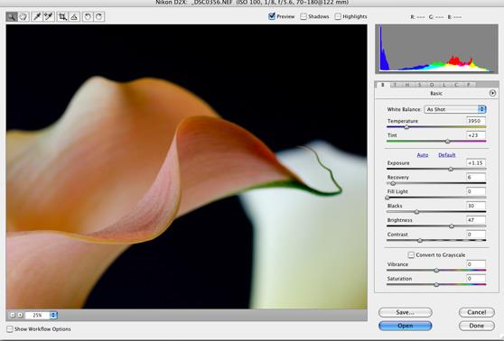Adobe Photoshop CS3ƽ