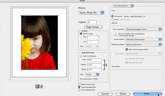 Adobe Photoshop CS3ƽ
