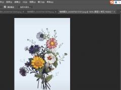Adobe Photoshopһִĺķ