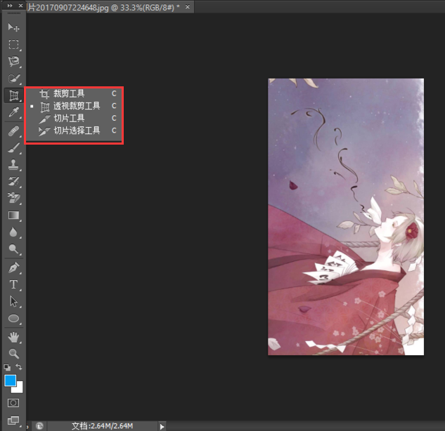 Adobe Photoshop CC 2017Ѱ