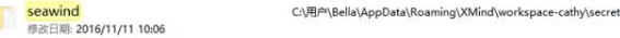 XMind(˼άͼ)2021