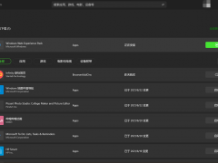 ΢ Win11Ӧ̵ҳUI