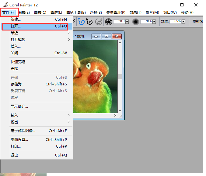 Corel Painter 12רҵ