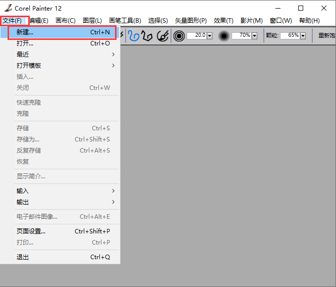 Corel Painter 12רҵ