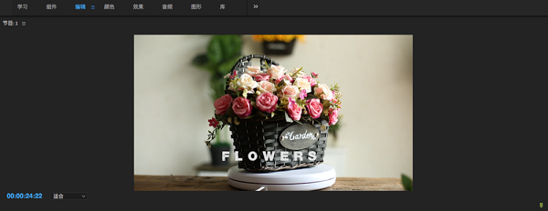 Adobe Premiere Pro CC 2019ʽ