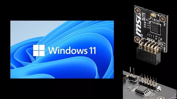 Window11_Win11 64λרҵ V2021_İ