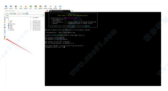 MobaXterm V21.0Ѱ