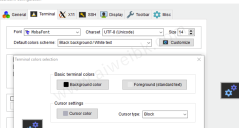 MobaXterm V21.0ʽ