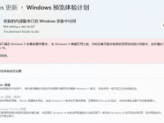 ߳ Dev ͨ Win11Ԥ˻ֿ¼