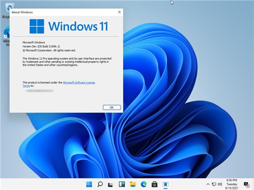 Win11רҵ_΢ԭ Win11 64λרҵ