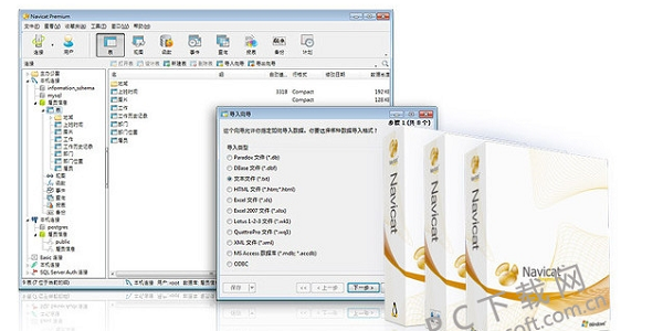 Navicat Premium v15.0.19ʽ