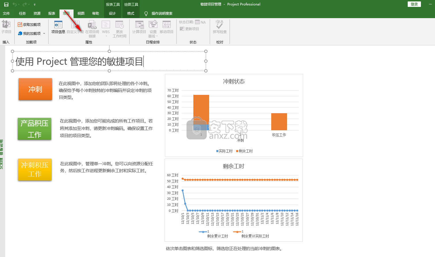 Microsoft Project 2019İ