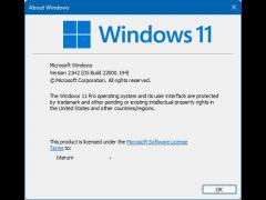 豸ΰװWin11ϵͳ