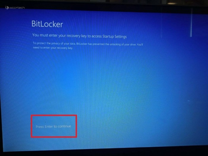 Win11ϵͳȫģʽķ
