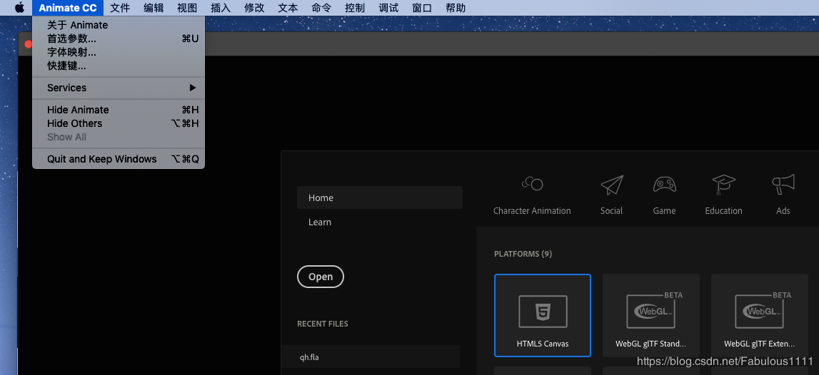 Adobe Animate CC 2020İ