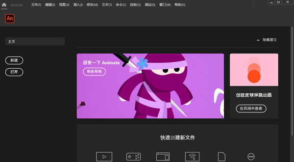 Adobe Animate CC 2020İ