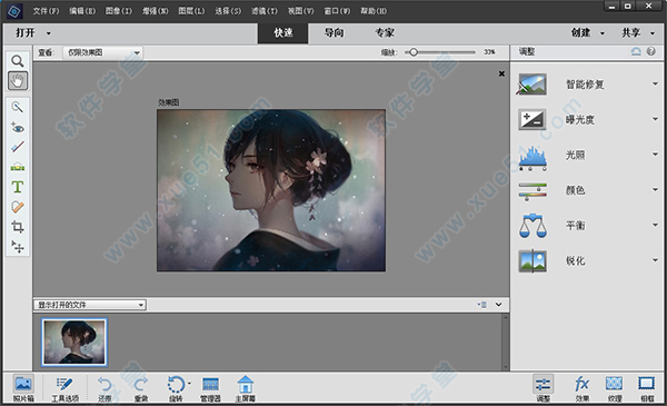 Adobe Photoshop Elements 2021ƽ