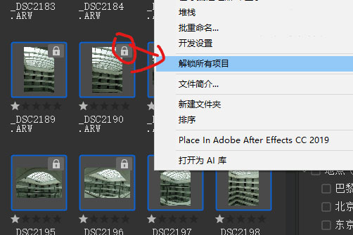 Adobe Bridge 2021ٷ
