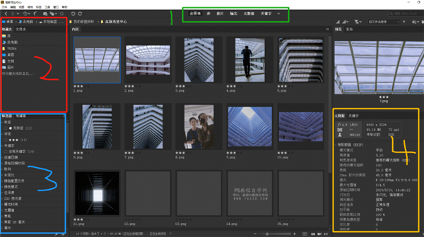 Adobe Bridge 2021ٷ