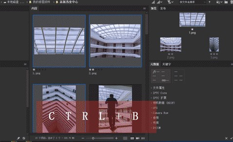 Adobe Bridge 2021ٷ