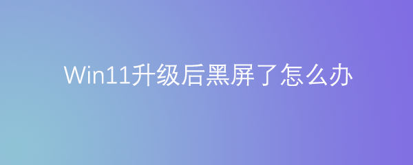 Win11