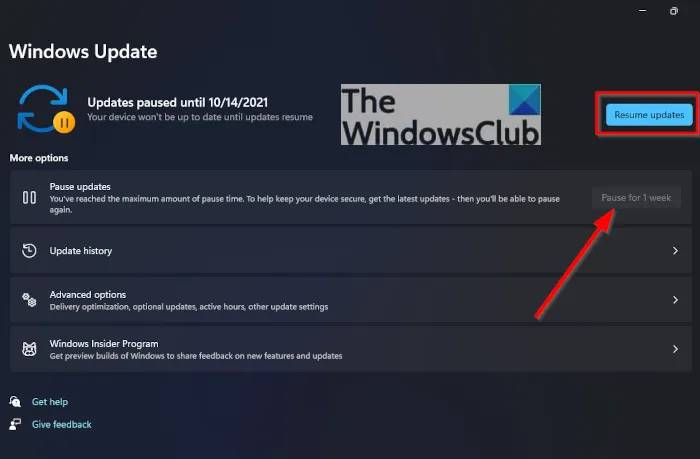 ΢ Win11 ϵͳֶ