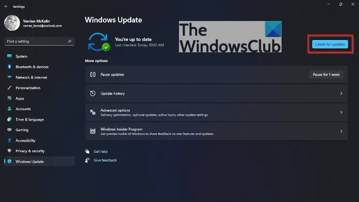 ΢ Win11 ϵͳֶ
