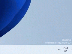 ΢Win11¹ֱܿͨ
