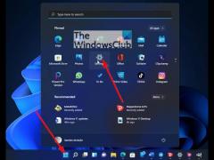 ΢ Win11 ϵͳֶ
