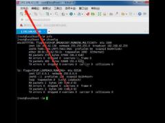 Xshell޸СXShell޸Сļ