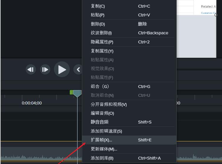 Camtasia Studio֡Camtasia Studio֡ķ
