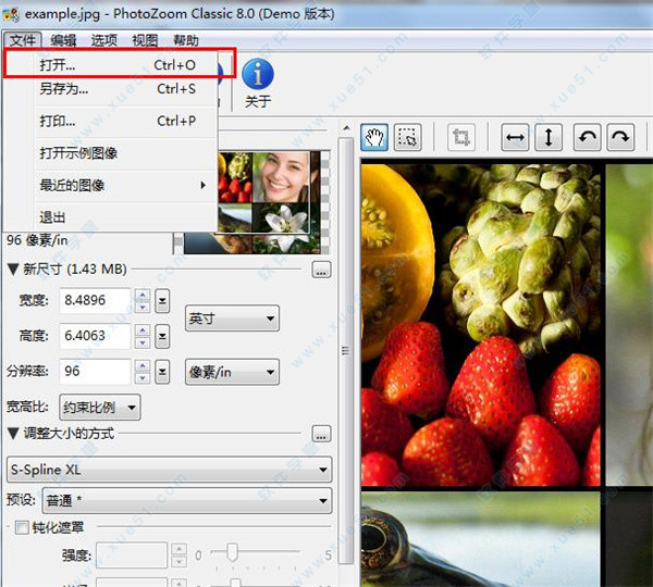 PhotoZoom v8.0.4İ