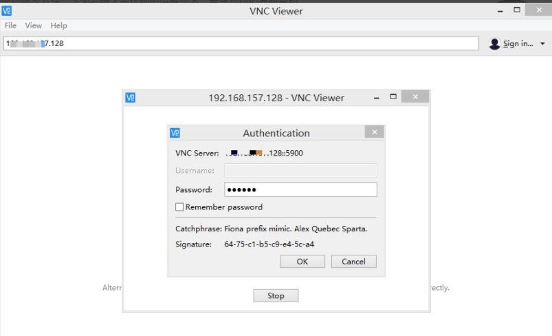 VNC Viewer÷룿