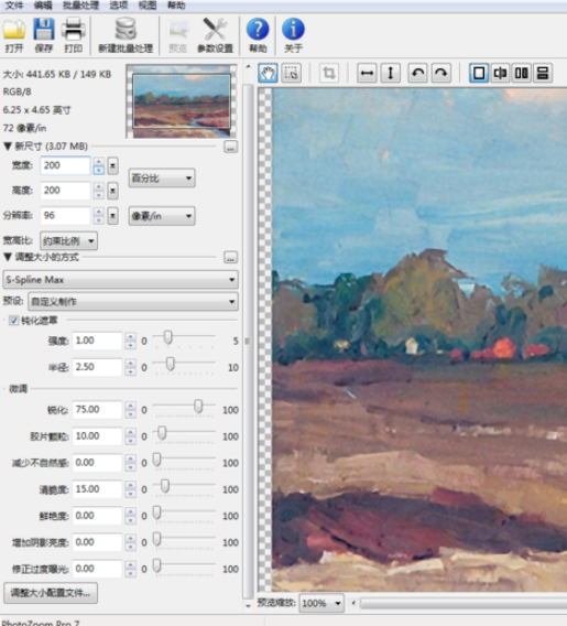 PhotoZoom Pro8 v8.0.4 °