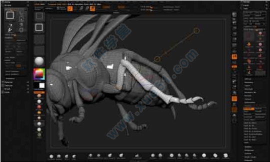 ZBrush V2021.5.1İ