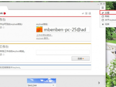 AnyDeskù̶ļ