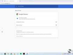 Google Chrome  Win11 ˵ļ