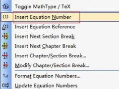 MathTypeʽתΪŹʽ