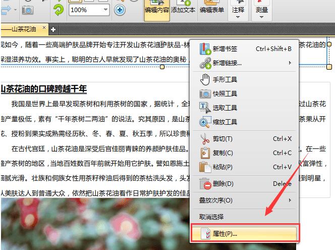 ѸPDF༭ V1.2ɫ