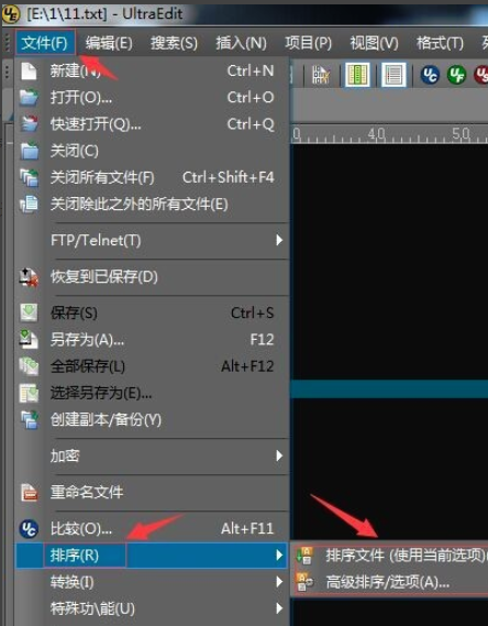UltraEdit v27.10.0.13Ѱ