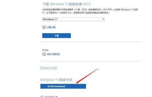 Msdn ΢ԭ Win11 ISOϵͳ