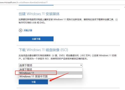Msdn ΢ԭ Win11 ISOϵͳ